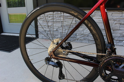 2024 Trek Emonda SLR 7 Disc Di2- 15lb- Project One