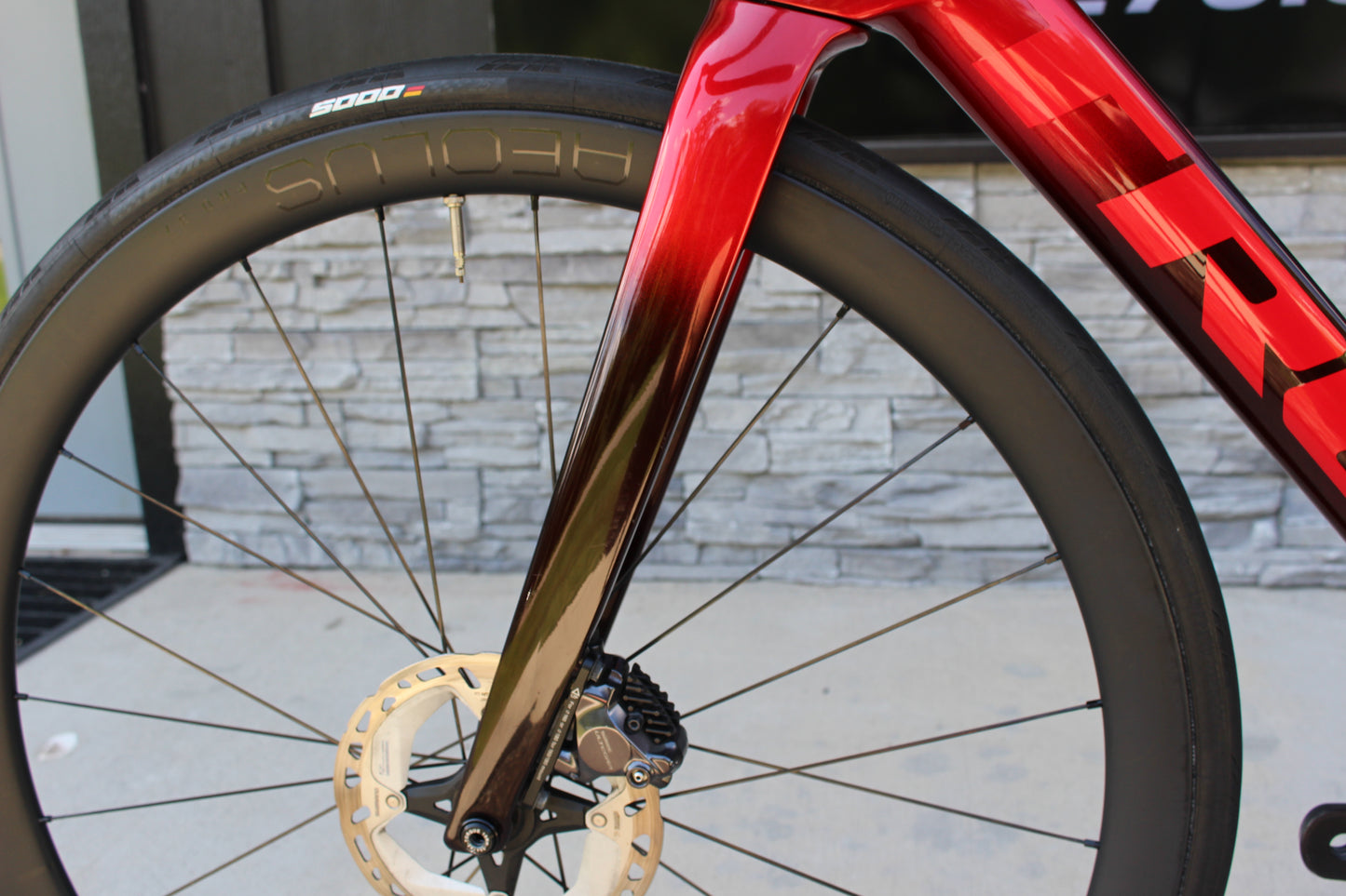2024 Trek Emonda SLR 7 Disc Di2- 15lb- Project One