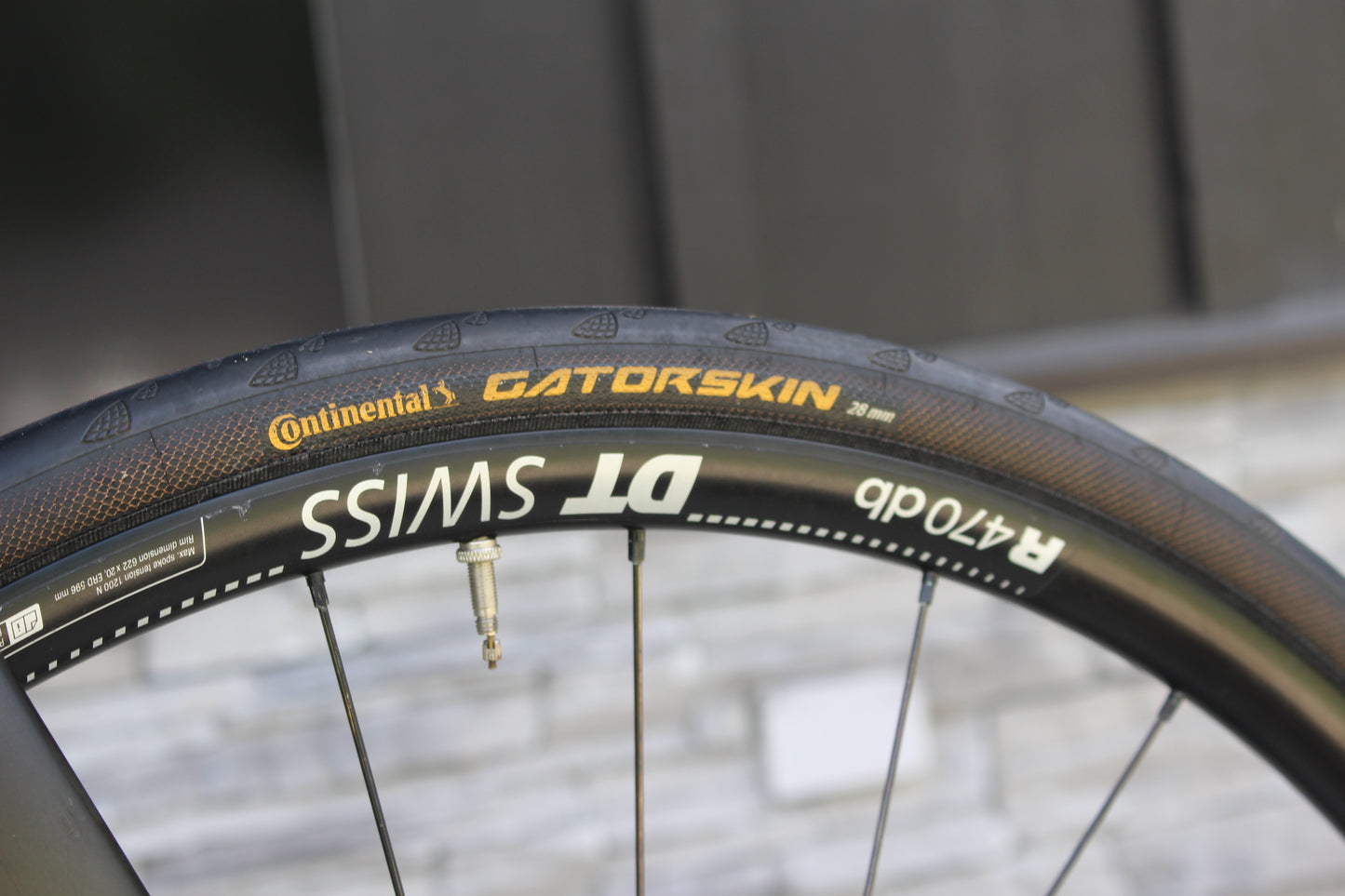 2020 Specialized Roubaix Comp- DISC!- Di2!