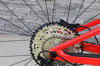2026 BMC Fourstroke 01 Three- 25lbs- Carbon