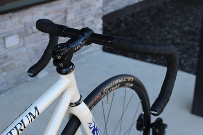 Spectrum Track Bike - 15lb - Lugged Steel - HAND-built